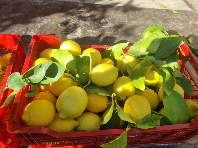 limones